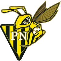 Progrès Niederkorn