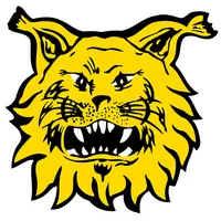 Ilves